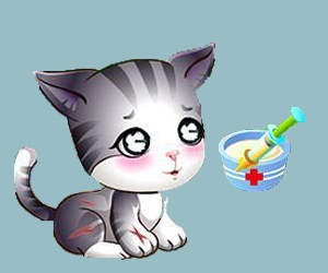 猫传染性腹膜炎治疗预防方法