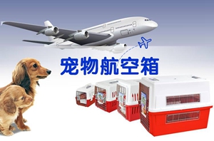 坐飞机宠物托运手续介绍