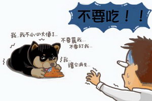 狗吃自己的屎怎么办