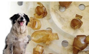 狗咬胶的种类介绍