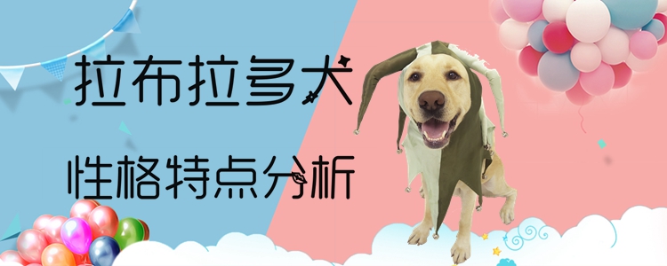 拉布拉多犬性格怎么样