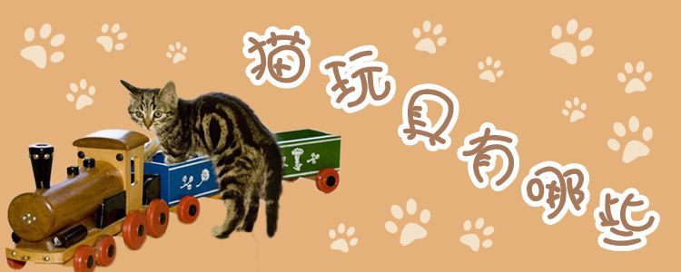 猫玩具有哪些