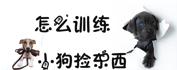 怎麼訓練小狗撿東西