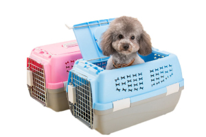 宠物运输方式有哪些