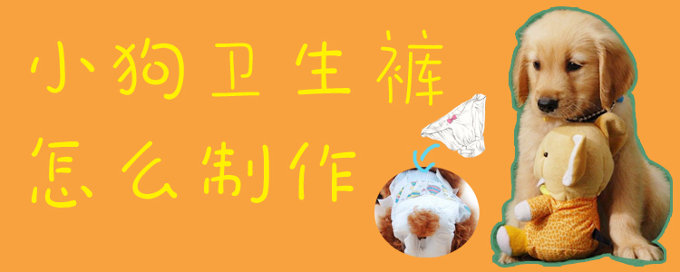 小狗卫生裤怎么制作