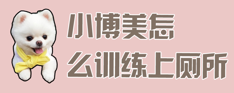 小博美怎麼訓練上廁所