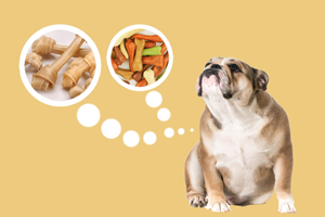 狗咬胶的用处是什么