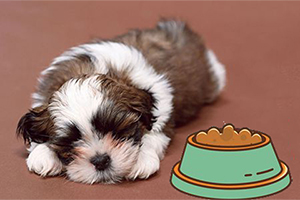 幼犬狗粮怎么吃