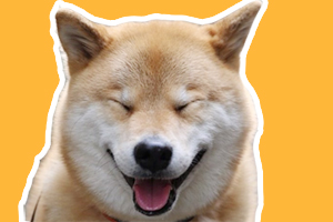 柴犬的习性是什么