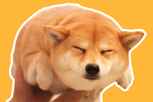 柴犬的生活习性是什么