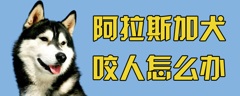 阿拉斯加犬咬人怎麼辦