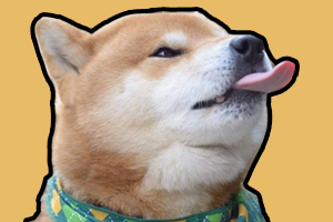 柴犬吃什么毛色好