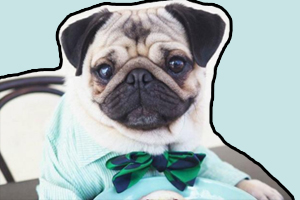 狗狗打嗝怎么回事