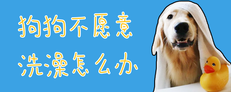 狗狗不愿意洗澡怎么办