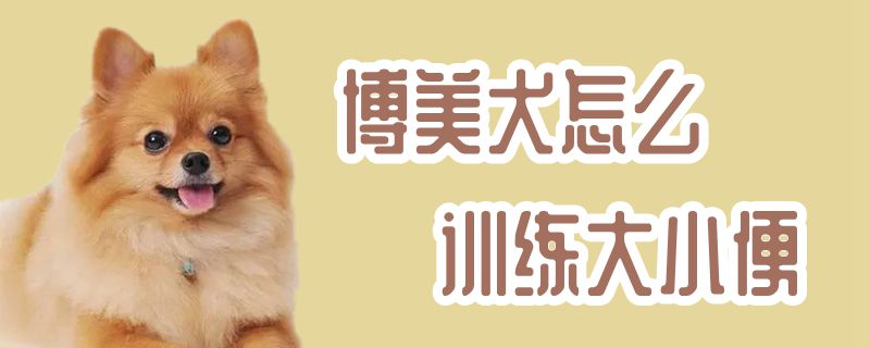 博美犬怎麼訓練大小便