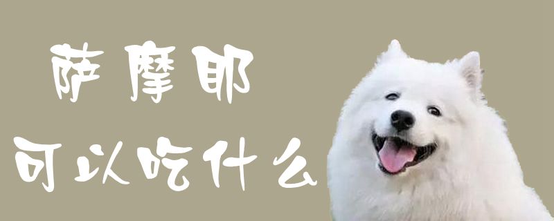 萨摩耶可以吃什么