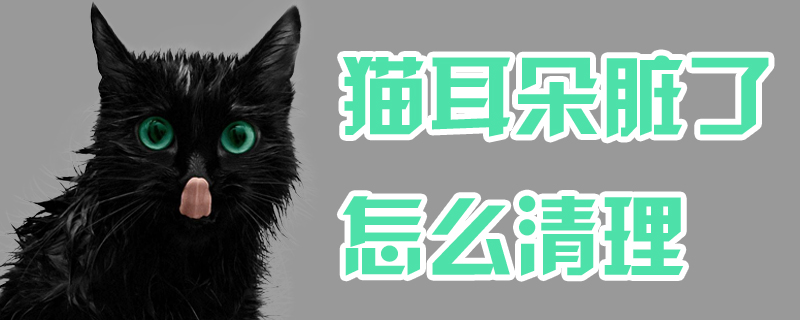 猫耳朵脏了怎么清理