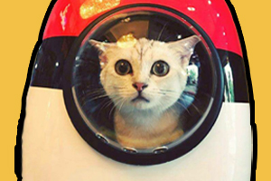 宠物包怎么选择