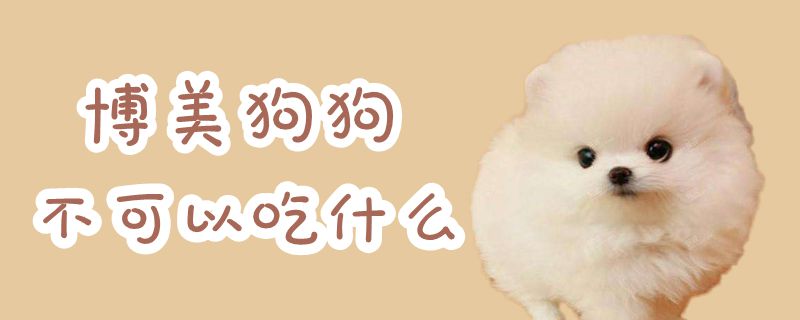 博美狗狗不可以吃什么