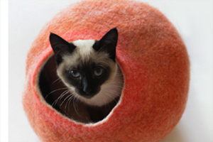 猫咪喜欢什么样的窝