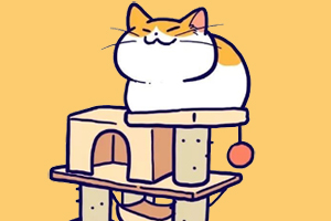 如何挑选猫爬架