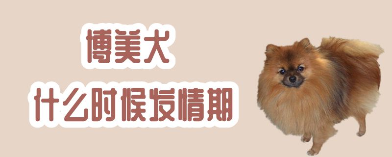 博美犬什麼時候發情期