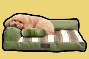 宠物床怎么选择