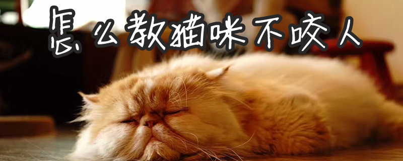 怎么教猫咪不咬人