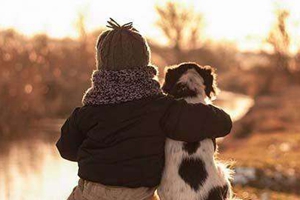 如何帮狗狗清理肛门腺