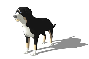 狗狗毛打结怎么梳