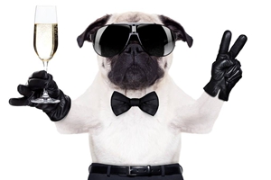 小狗一直叫怎么办