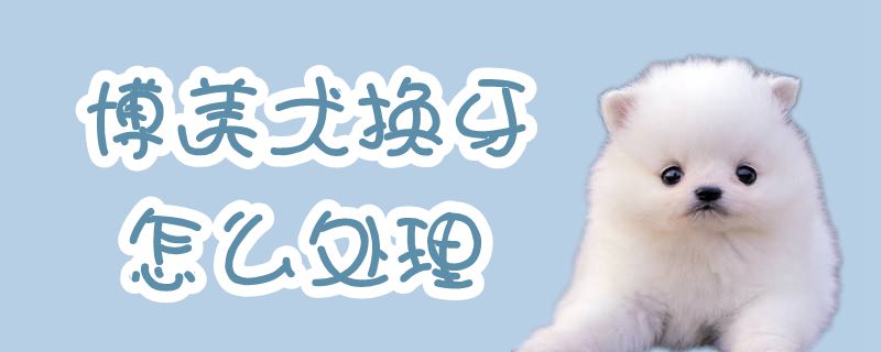 博美犬换牙怎么处理