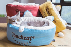 猫窝应该放在什么位置