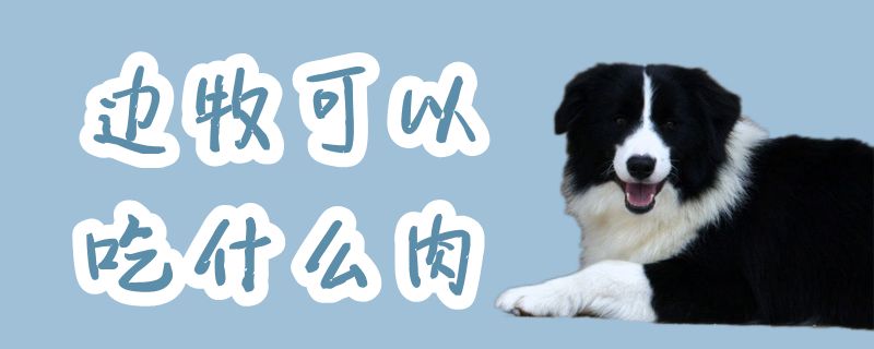 边牧可以吃什么肉