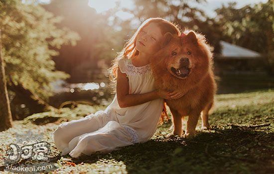 狗狗膽小怕人怎麼辦