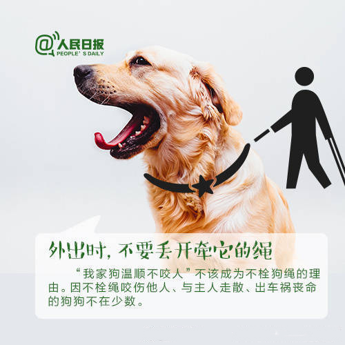 爱狗的你注意啦！养犬不束链伤及路人，犬主被判赔偿近10万