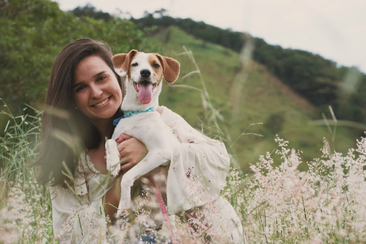 狗狼嚎是什么行为