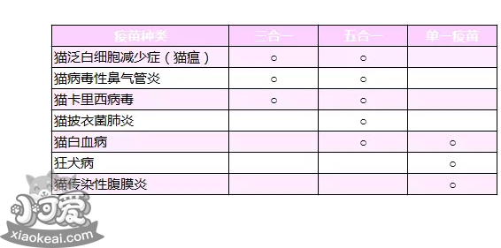 小猫需要打哪些疫苗 看这一篇就够了-轻博客