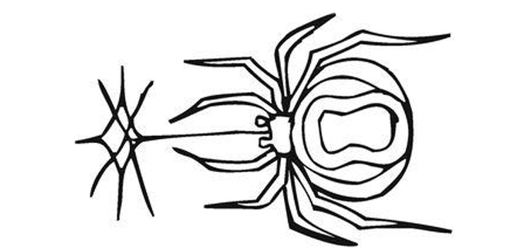 狗狗体外的虫子有哪些种类 体外寄生虫要对症下药