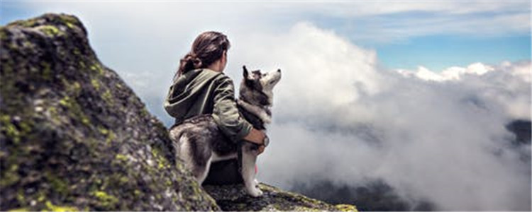 什么人不适合养狗 这六种人求你不要养