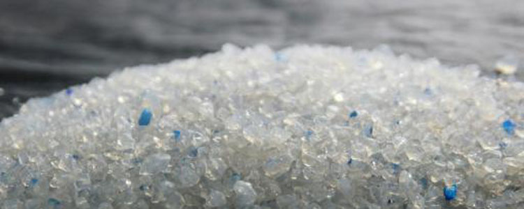 水晶猫砂有毒吗 水晶猫砂究竟是什么