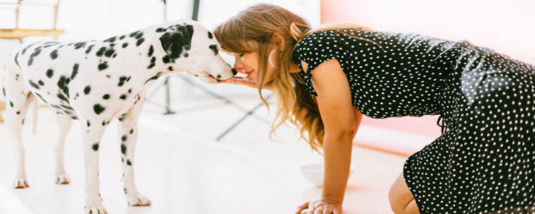 狗狗直立行走好吗 除非你想让狗狗瘫痪