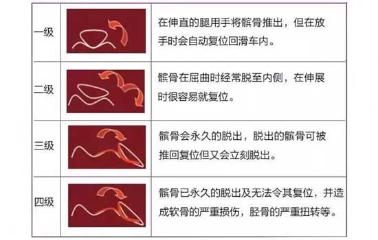 狗狗急性癱瘓 狗狗突然癱瘓不能動是怎麼回事