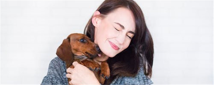 养母狗好处有哪些 养母狗的好处原来有这么多