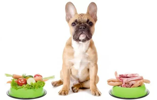 狗狗零食怎麼選 請避開那些三無產品
