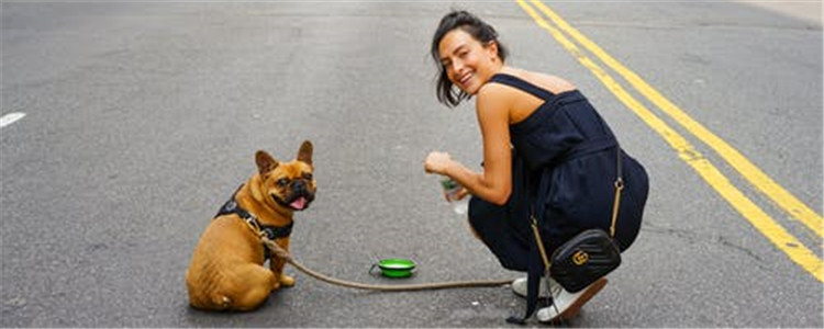 什么食物对狗狗有害 不要给狗狗长期喂食商品粮