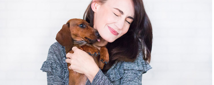 狗狗不爱吃狗粮怎么办 多半是你狗粮选得不对