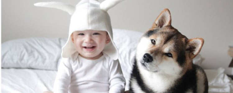 狗能听懂人说话吗 狗狗能听懂你说的话