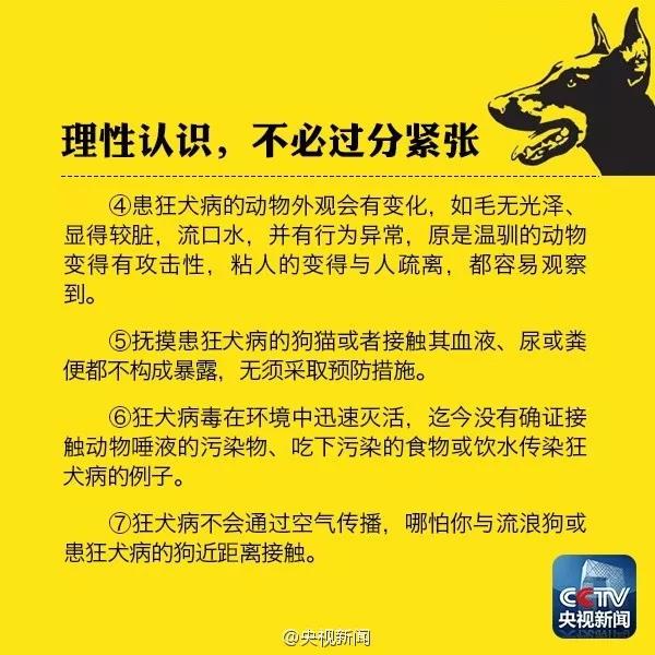 狗舔了破皮的傷口怎麼辦 狂犬病又不是每只狗都有!