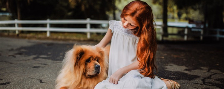 为什么导盲犬不能玩球 导盲犬是盲人的眼睛